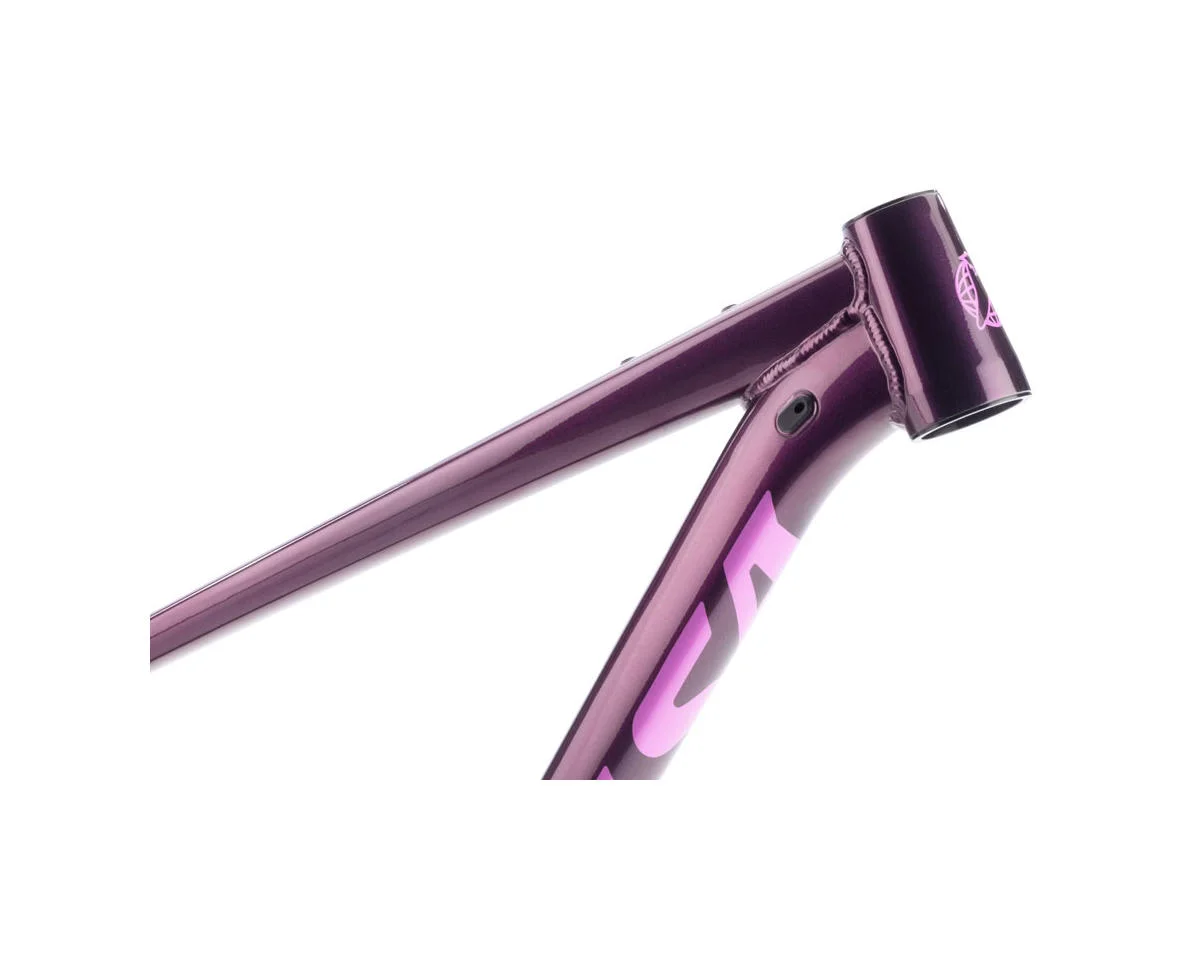 Salsa Timberjack Frame (Deep Orchid) (29/27.5") (XL) - view 5